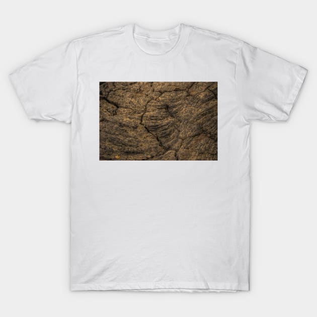 Volcanic rock T-Shirt by KensLensDesigns